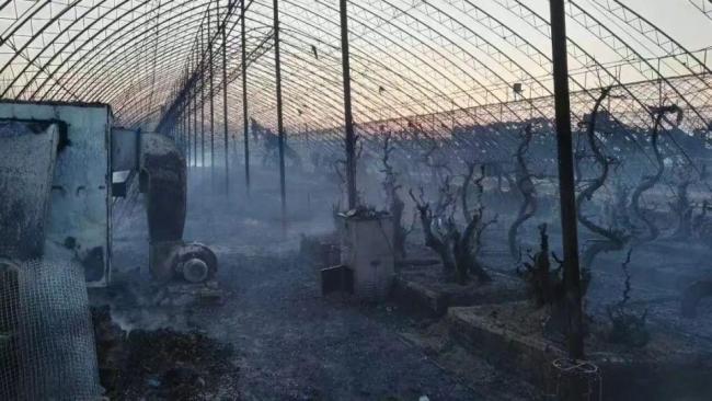 养殖基地三次遭遇蹊跷火灾