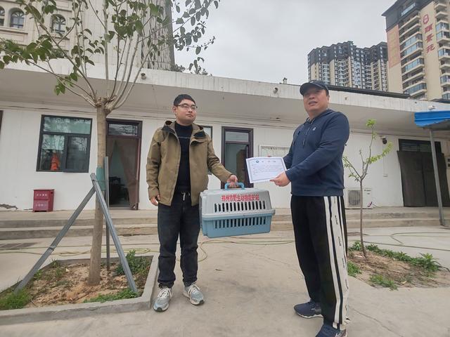 爱心救助野生动物，共筑和谐生态家园