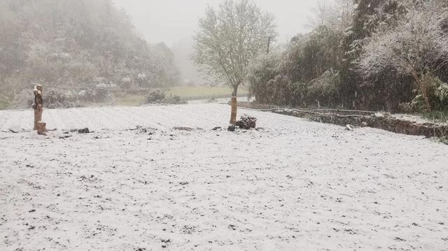 湖北下雪了！网友：比冬天的雪还大