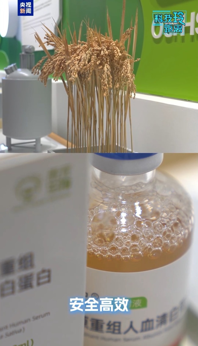 稻米竟能造血？这项产品有望今年上市