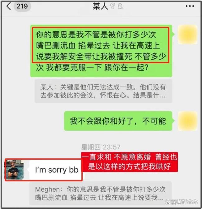 网红玫瑰曝家暴细节 聊天记录揭露真相