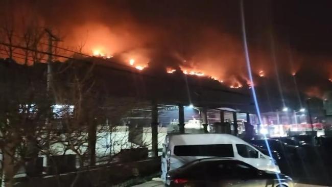 秦皇岛突发山体着火