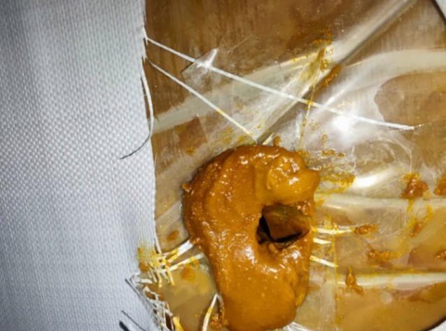 深圳海关查获20余吨粪便状洋垃圾 非法进口遭查处