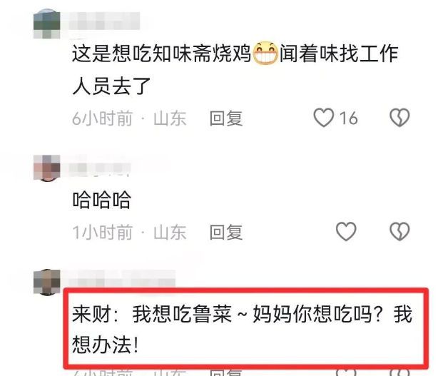 山东知味斋出名了：偶遇浙江迷路金毛，好心收留回山东