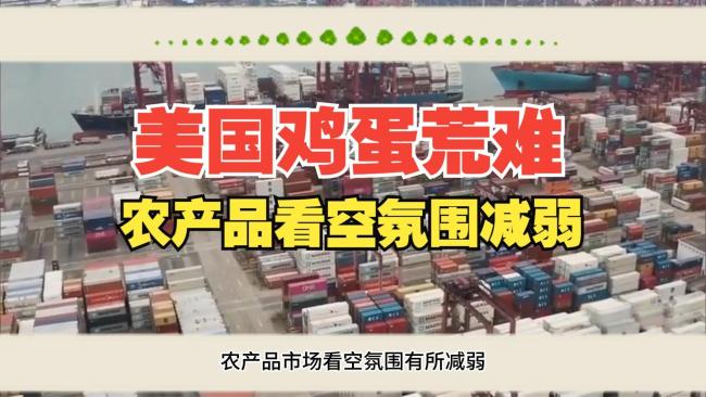 媒体：关税战让美国蛋荒更荒诞 复活节彩蛋变土豆