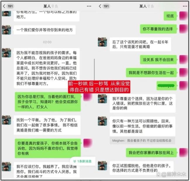 网红玫瑰曝家暴细节 聊天记录揭露真相