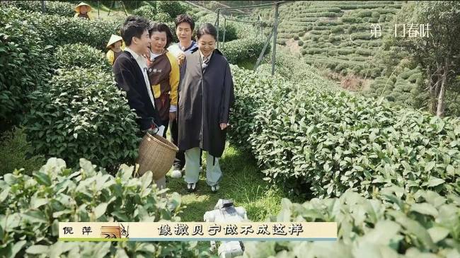 董宇辉来杭州阿姨们夹道欢迎 茶园趣事乐翻天