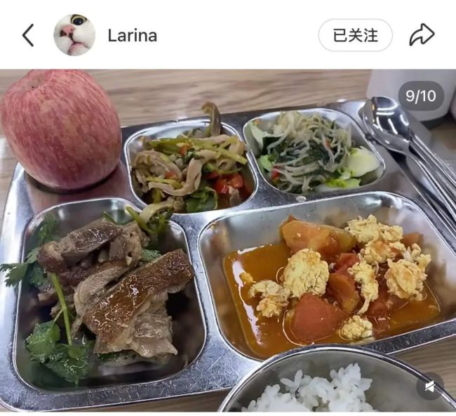 餐盘的圆形区域到底是干啥的 设计之谜揭晓