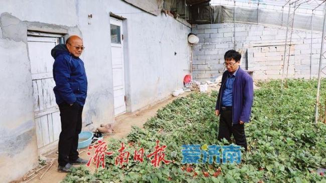济南启动农业防风应急响应 全力保障农业生产安全