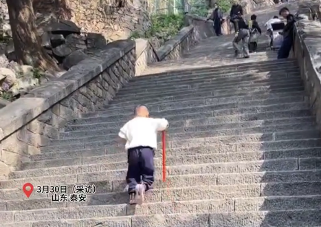 全家爬泰山竟成“追娃大作战”，小宝化身小马达一直往前跑
