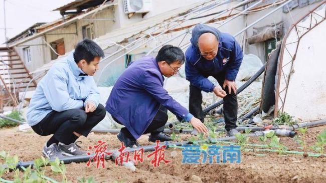 济南启动农业防风应急响应