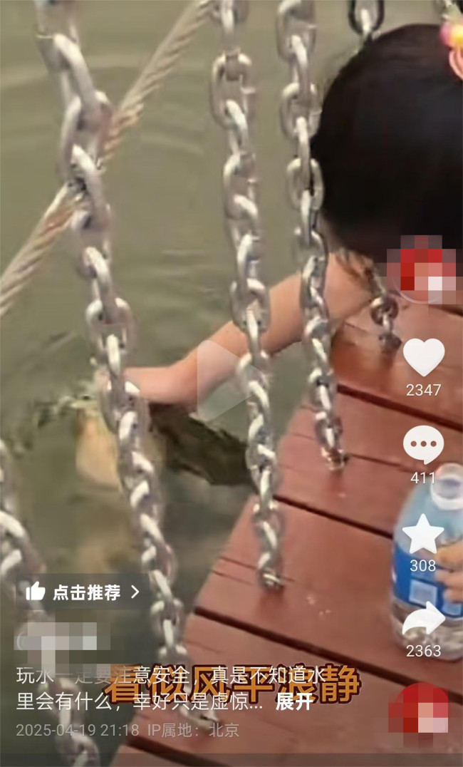 北京一水域疑现鳄龟 女孩险遭袭击