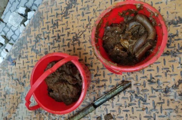 深圳海关查获20余吨粪便状洋垃圾