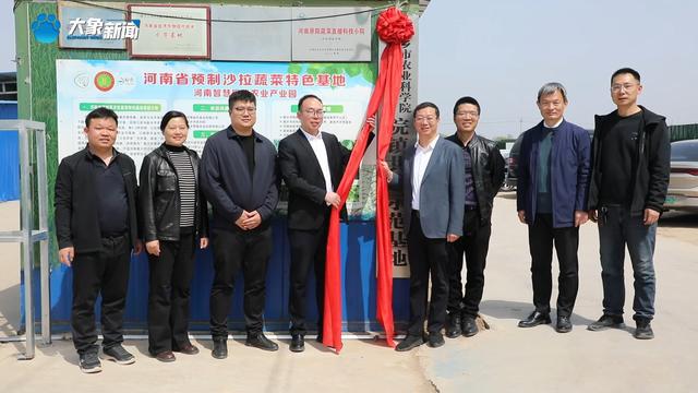 新乡平原示范区：特色种植打造农谷“蔬菜小镇”