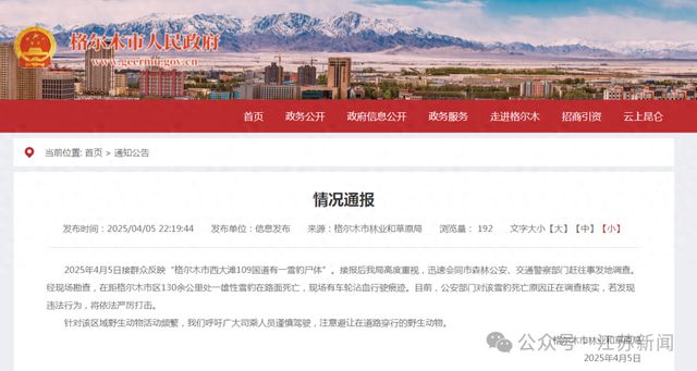 官方通报“雪豹在路面死亡”：现场有车轮沾血行驶痕迹