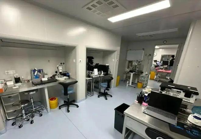 杭州别墅暗藏非法代孕活动？官方最新通报