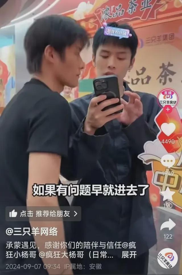 “小杨臻选”APP上线，“三只羊”内部人士：复播准备中