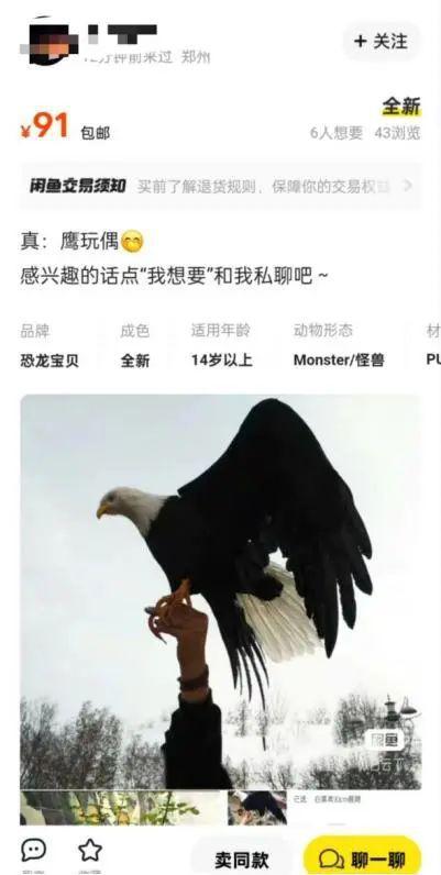 电商平台有商家卖活体野鸟含国家二级保护动物，律师解读
