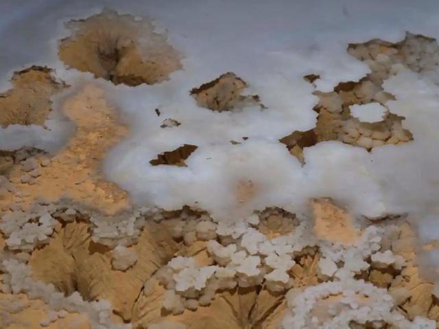 贵州深山4.8亿年“地下水晶宫”,被一条引水涵洞意外启封