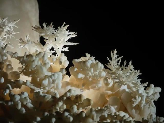 贵州深山4.8亿年“地下水晶宫”,被一条引水涵洞意外启封