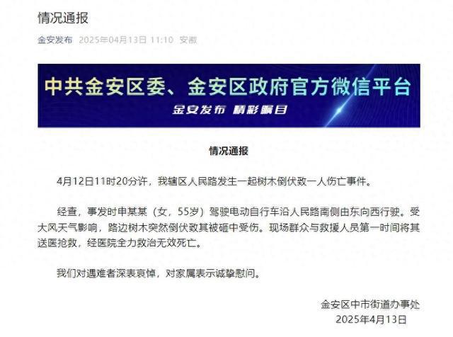 安徽六安通报：大风刮倒路边树木，骑电动车女子被砸中身亡