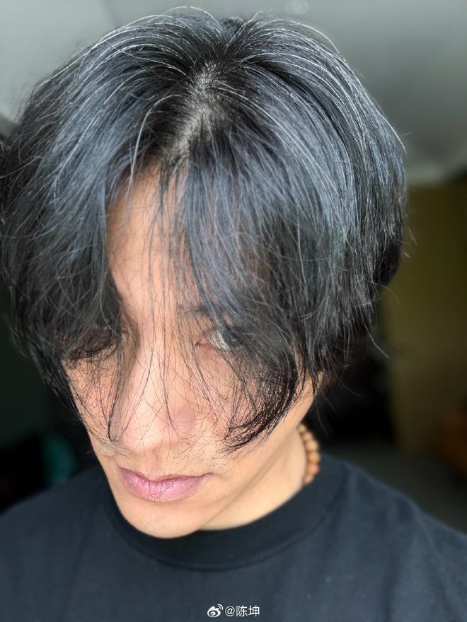 陈坤晒自拍称“白发苍苍”，网友：没我多