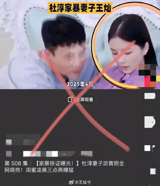 杜淳妻子王灿否认被家暴