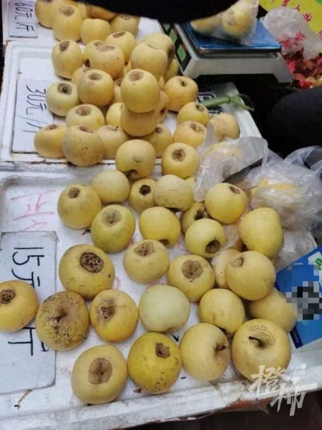 60一斤的新疆冬厘果究竟是什么 骗局揭秘