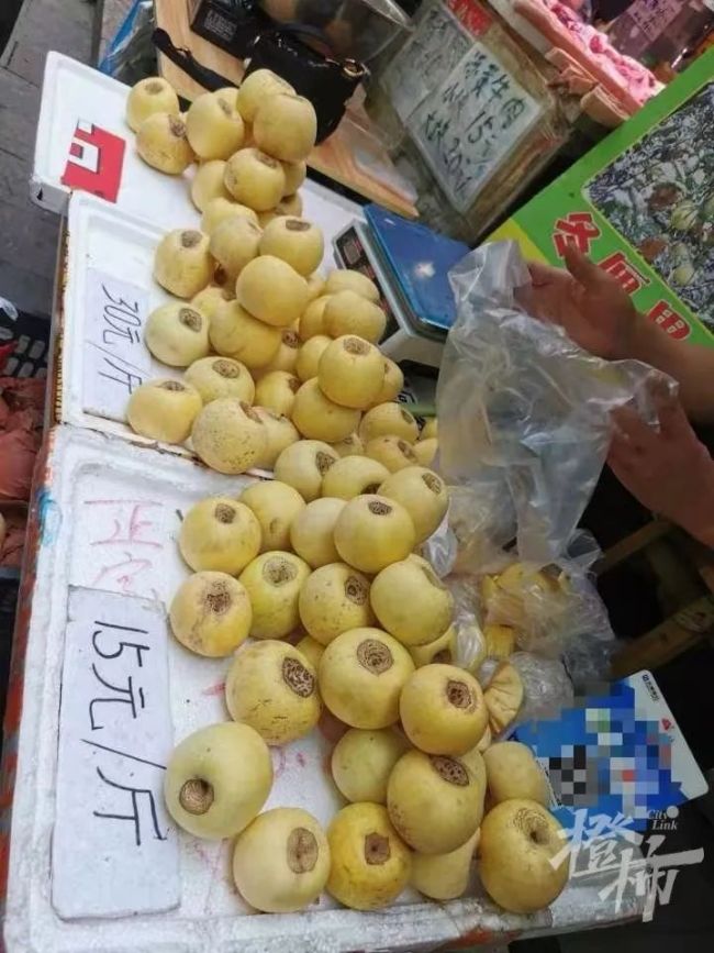 60一斤的新疆冬厘果究竟是什么 骗局揭秘