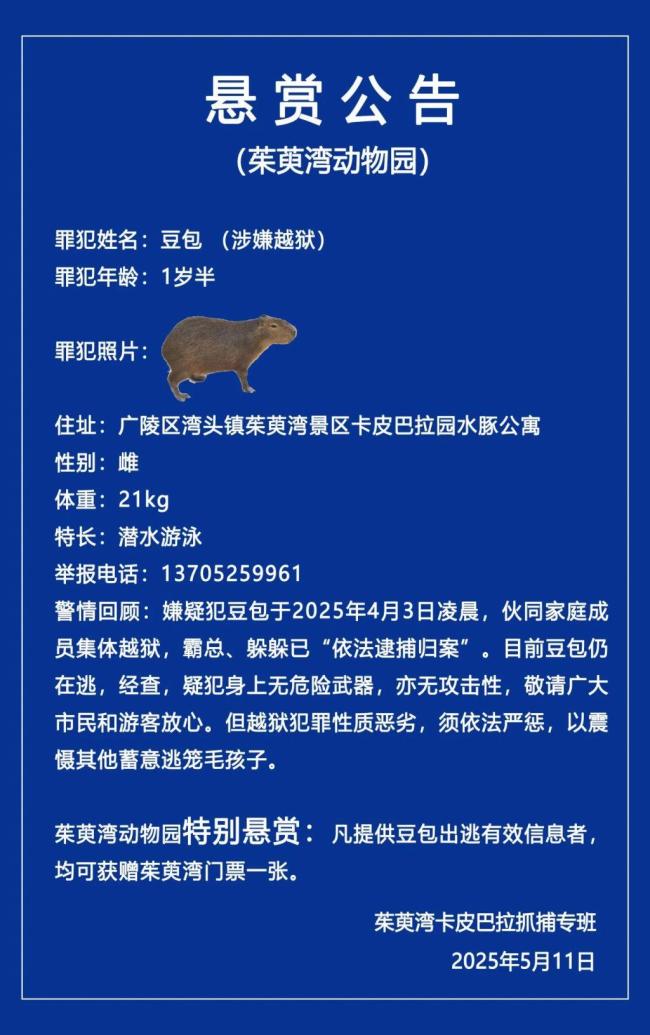 动物园悬赏寻找出逃40天水豚