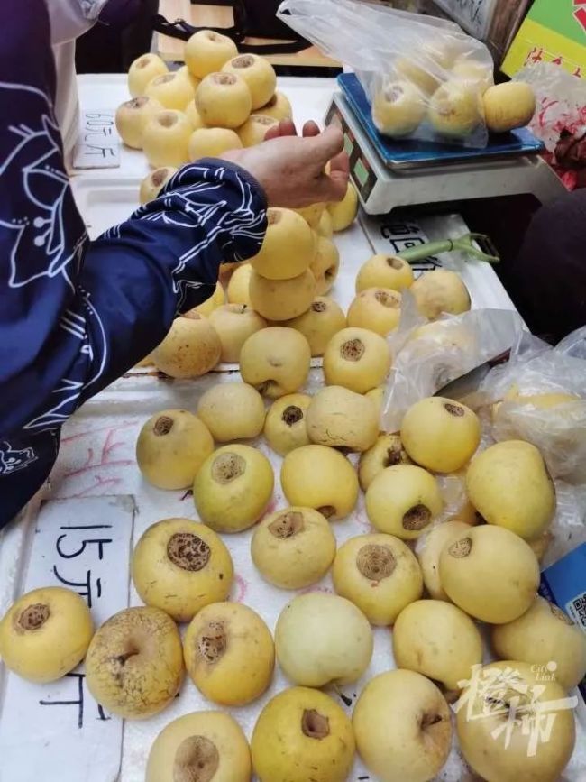 60一斤的新疆冬厘果究竟是什么 骗局揭秘