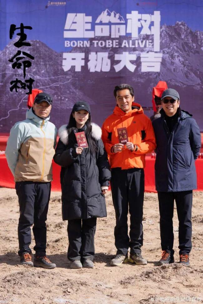 胡歌生命树开机照
