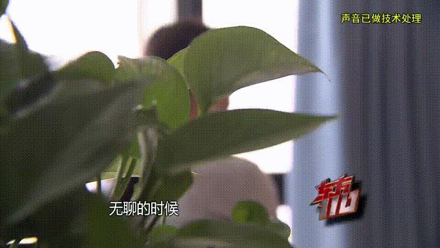 女子为游戏男友倾尽百万靠泡面度日 三年骗局终曝光