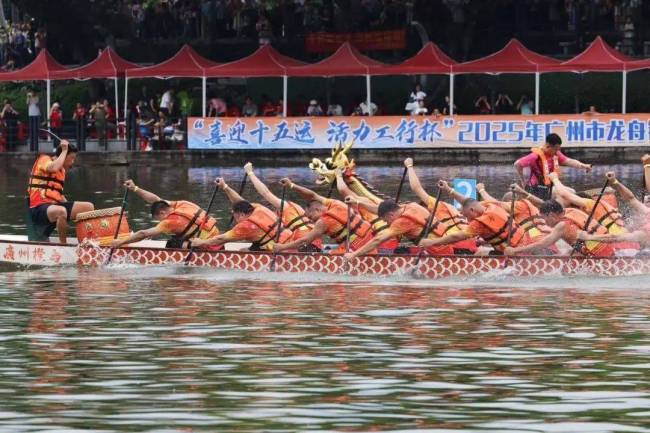 在广州为何房东痴迷扒龙船，江河湖海陆续上演“飙船”大片
