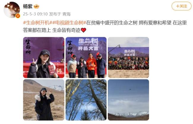 胡歌生命树开机照 白发造型亮相
