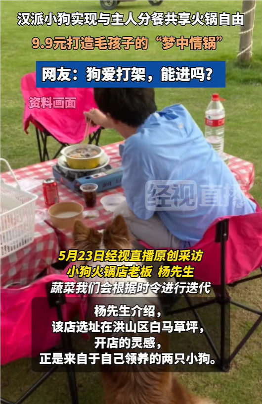 武汉现人狗分餐共享火锅店