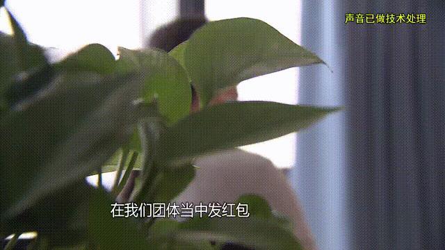 女子为游戏男友倾尽百万靠泡面度日 三年骗局终曝光