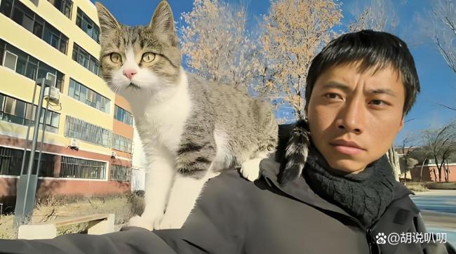 网红猫 悬赏击杀 非自然死亡疑云