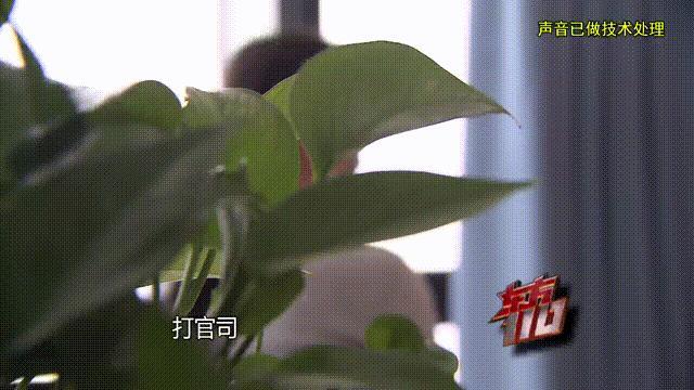 女子为游戏男友倾尽百万靠泡面度日 三年骗局终曝光