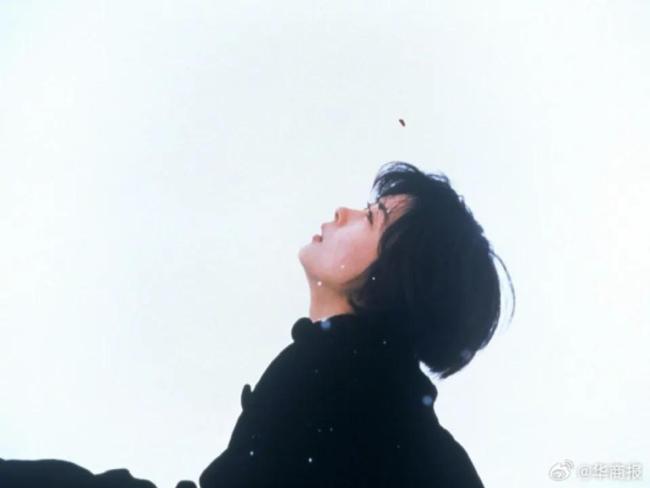 中山美穗儿子拒绝继承遗产