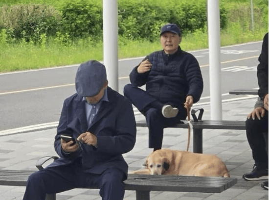 尹锡悦被拍到在公园“悠闲遛狗”