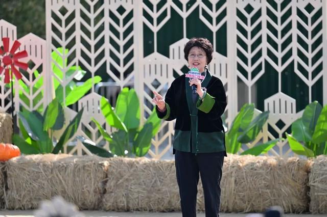 村队战火再燃！鹤壁站巅峰对决一触即发！
