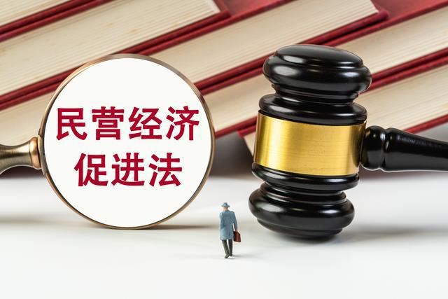 《民营经济促进法》为“按键伤企”按下终止键丨大象评论