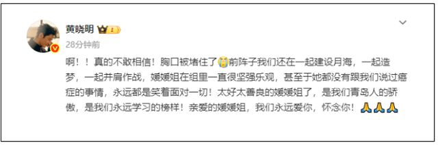 赵丽颖、黄晓明、马伊琍等发文悼念朱媛媛