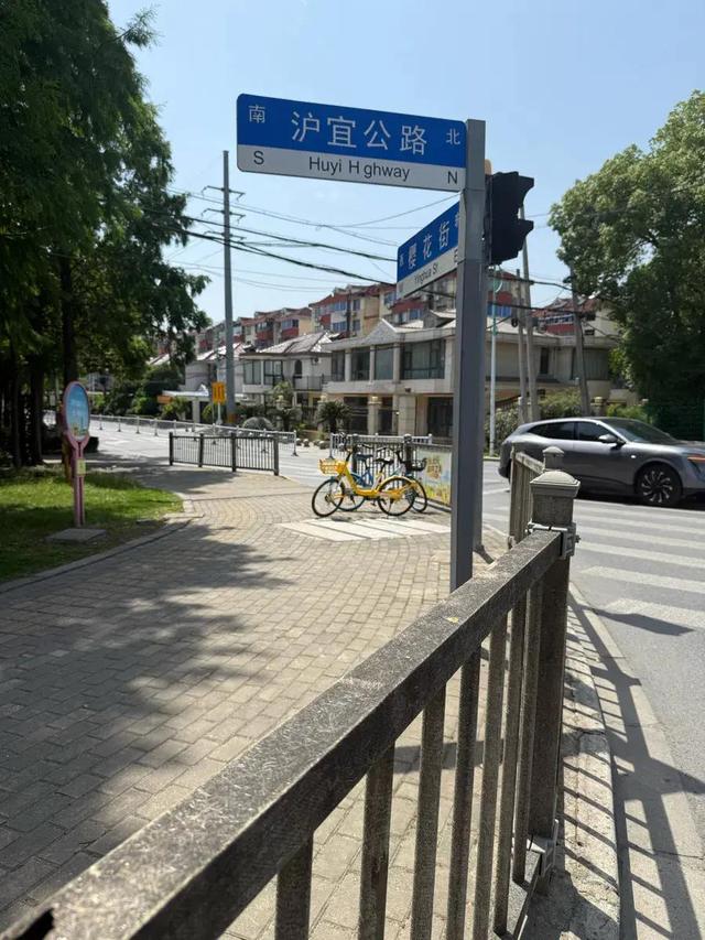 上海街头惊现“栏杆刺客”扎伤市民,遛狗市民:狗都不敢靠近