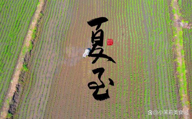 明日夏至：牢记这4点，为三伏天做准备