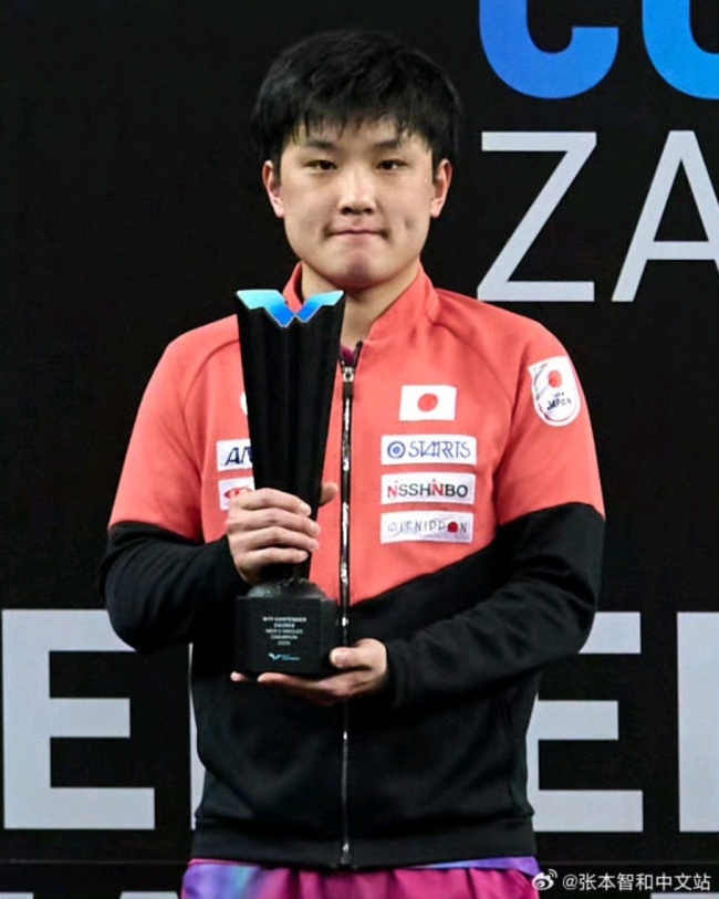 张本智和4-0战胜陈垣宇