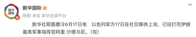 以色列军方称，已打死伊朗最高军事指挥官阿里·沙德马尼