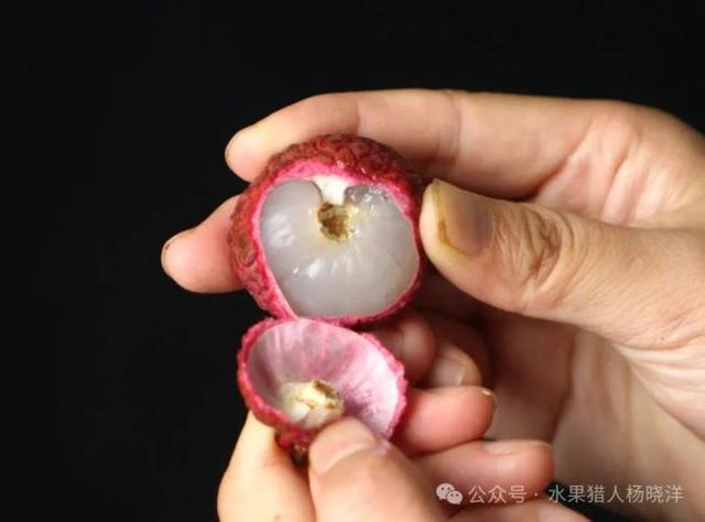 “原来我一直在吃荔枝虫子？”今天很多人不淡定了！专家回应