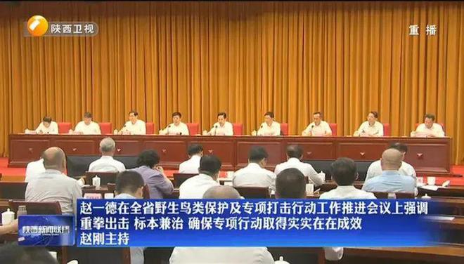 重拳出击！陕西召开会议，省委书记、省长提出要求，中央督察组列席